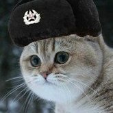 Comrade_cat
